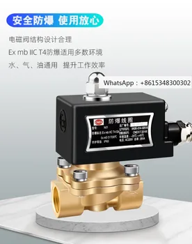 Взривозащитен електромагнитен клапан Нормално затворен газов клапан Клапан за природен газ Електромагнитен регулиращ клапан 4 точки 220V24VDN15